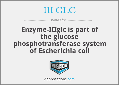 III GLC - Enzyme-IIIglc is part of the glucose phosphotransferase system of Escherichia coli
